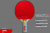Теннисная ракетка Start line Level 300 New (прямая) 12403